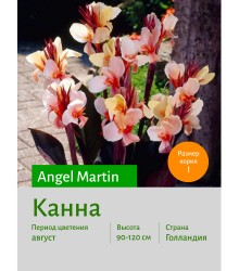 Канна Angel Martin Канна Angel Martin