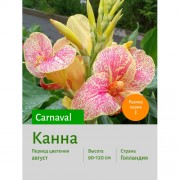 Канна Carnaval