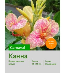 Канна Carnaval Канна Carnaval