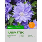 Клематис Denny's Double