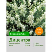 Дицентра spect. Alba