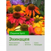 Эхинацея Cheyenne Spirit