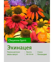 Эхинацея Cheyenne Spirit