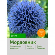 Мордовник ritro