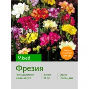 Фрезия double mixed