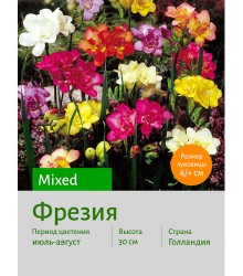 Фрезия double mixed
