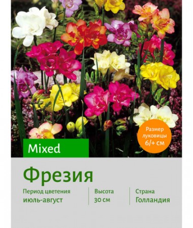 Фрезия double mixed