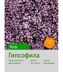 Гипсофила Pink