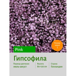 Гипсофила Pink