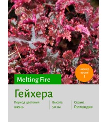 Гейхера Melting Fire