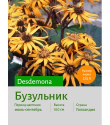 Бузульник Desdemona