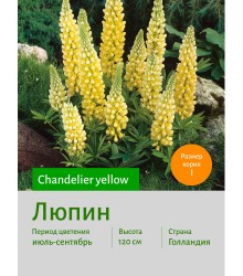 Люпин Chandelier