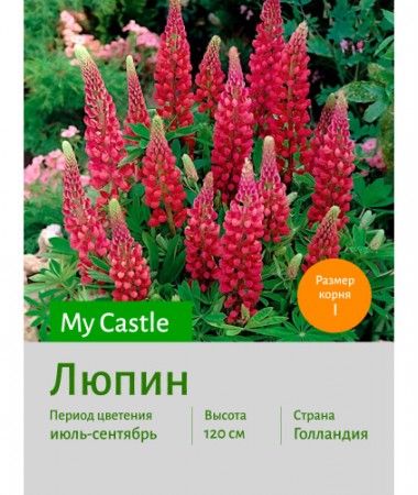 Люпин My Castle