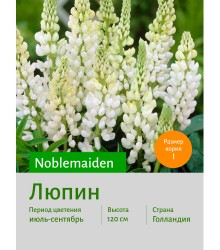 Люпин Noblemaiden