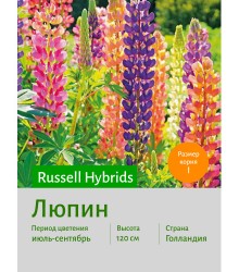 Люпин Russell Hybrids