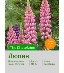 Люпин The Chatelaine