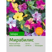 Мирабилис jalapa