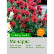 Монарда Cambridge Scarlet