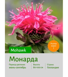 Монарда Mohawk