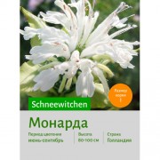 Монарда Schneewitchen