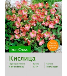 Кислица Iron Cross