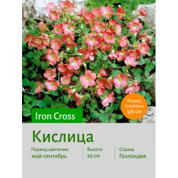 Кислица Iron Cross