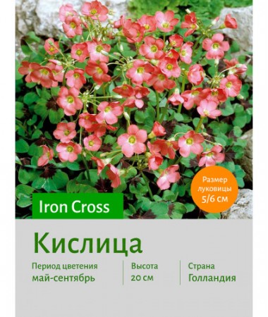 Кислица Iron Cross