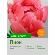 Пион Coral Charm