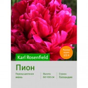 Пион Karl Rosenfield