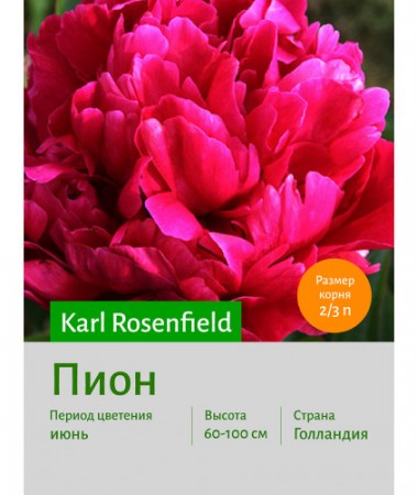 Пион Karl Rosenfield