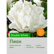 Пион White