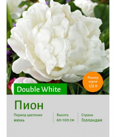Пион White