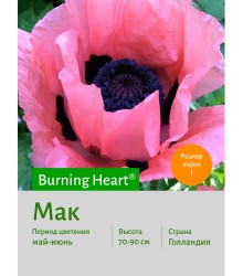 Мак Burning_Heart