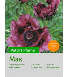 Мак Patty's_Plume