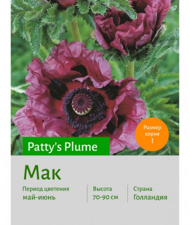 Мак Patty's_Plume
