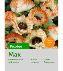 Мак Picotee