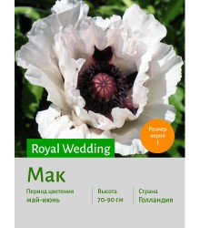 Мак Royal Wedding