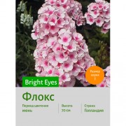 Флокс Bright Eyes