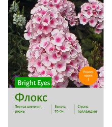 Флокс Bright Eyes