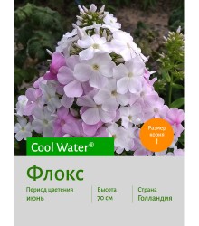 Флокс Cool Water
