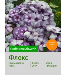 Флокс Grafin_von_Schwerin