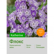 Флокс Katherine