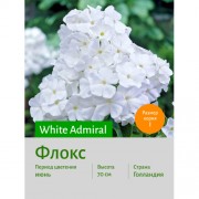 Флокс White Admiral
