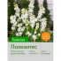 Ваточник tuberosa