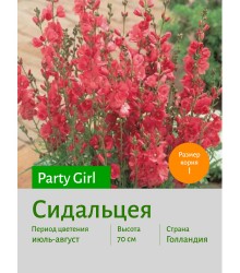 Сидальцея Party Girl