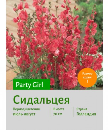 Сидальцея Party Girl