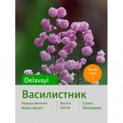 Василистник delavayi Василистник delavayi