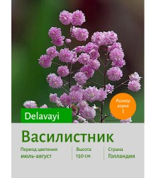 Василистник delavayi