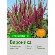 Вероника Red Fox