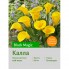 Калла Black Magic